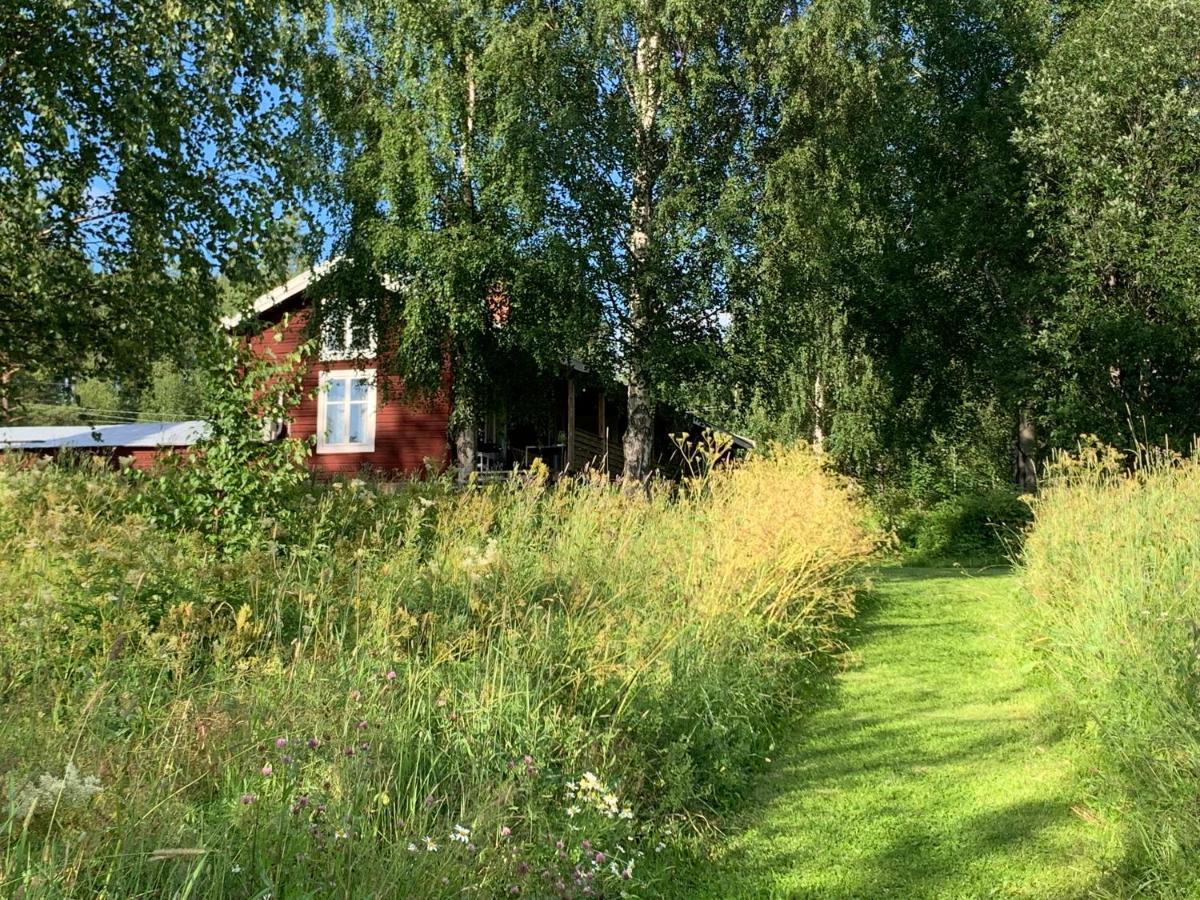 Bogaerdan, Cozy Cabin By The Lulea River Harads Eksteriør bilde